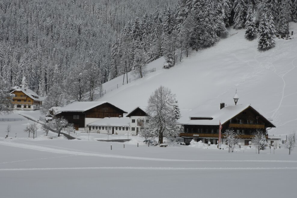 Walcherhof Langlaufstube - Imprese #1.2 | © Walcherhof