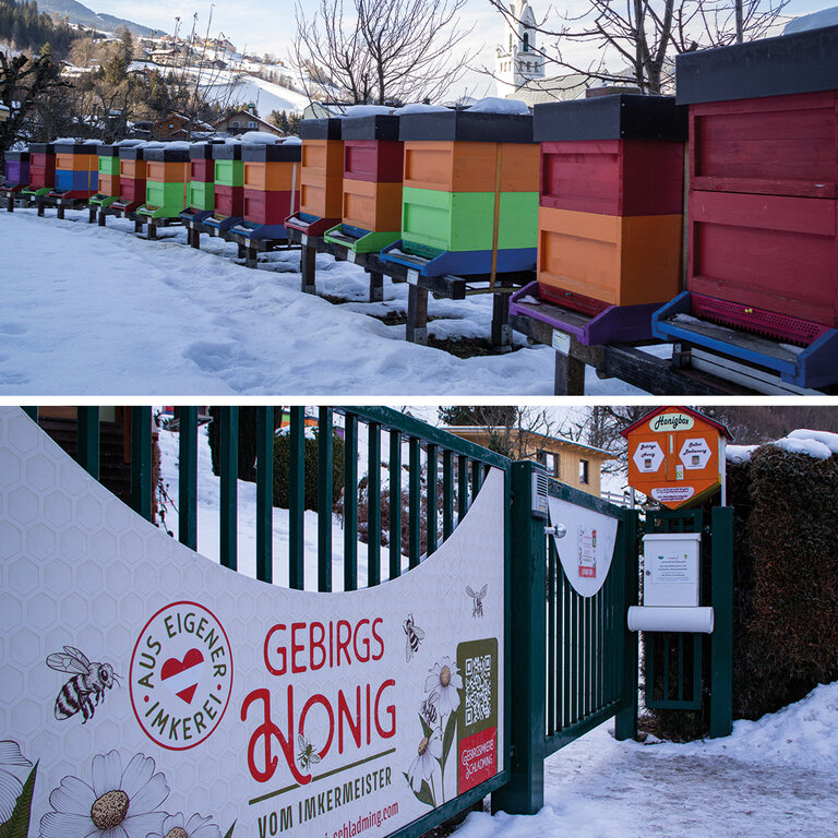 Master beekeeper  - Impression #2.4 | © Gebirgsimkerei Schladming Johann Lettner