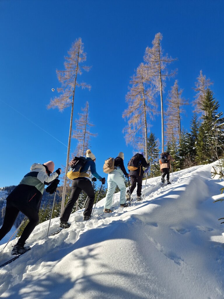 BergkulTour - Impression #2.8 | © BergkulTour