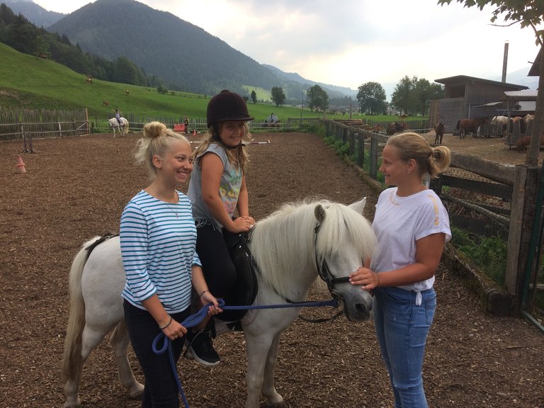 Speckhütte Schiefer - Abenteuerhof - Impression #2.8 | © Familie Reisner