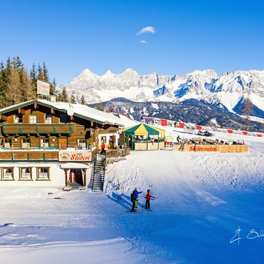 © Roland Schoblocher