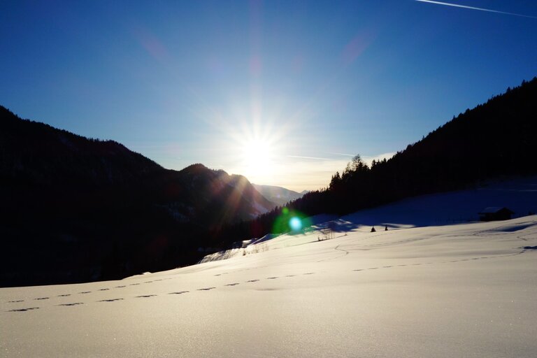 The Geringer - eat - drink - sleep - Impression #2.8 | © Andrea Pertcht