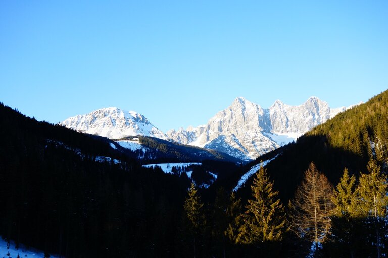 The Geringer - eat - drink - sleep - Impression #2.9 | © Andrea Percht