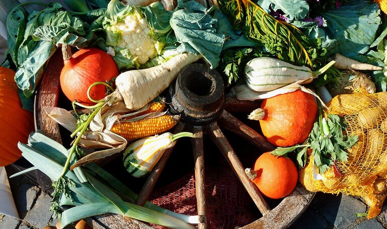 Erntedank | © Pixabay