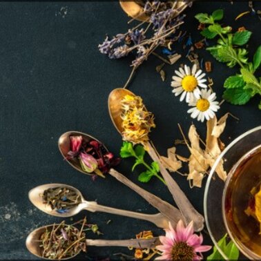 Kräuterworkshop | © Christina Marschall-Schranz