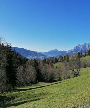 Blick vom Schwoaga Lehen | © TV Schladming-Dachstein