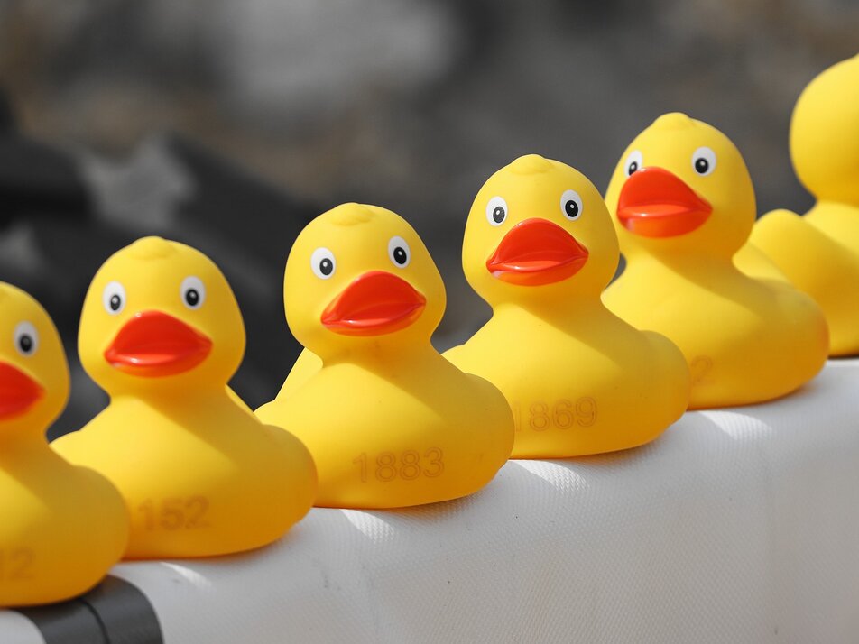 Village festival  - Imprese #1