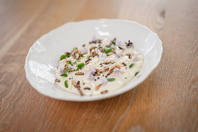 Bergergut Thomas Hofer | © Bergergut Thomas Hofer