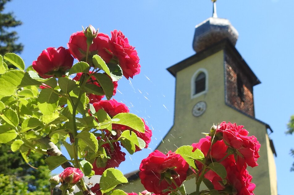 Sölker Garden Day - Imprese #1