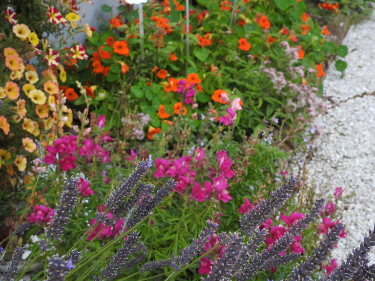 Sölker Jesuit Garden - Imprese #2.9