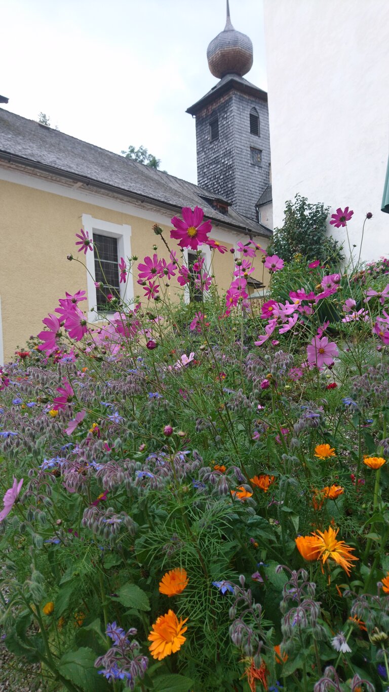 Sölker Jesuit Garden - Imprese #2.1