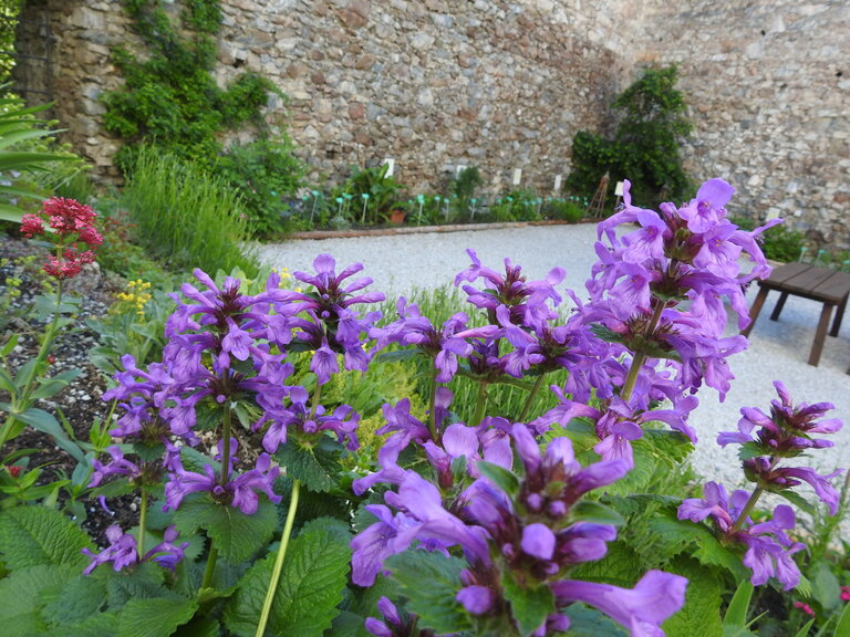 Sölker Jesuit Garden - Imprese #2.7