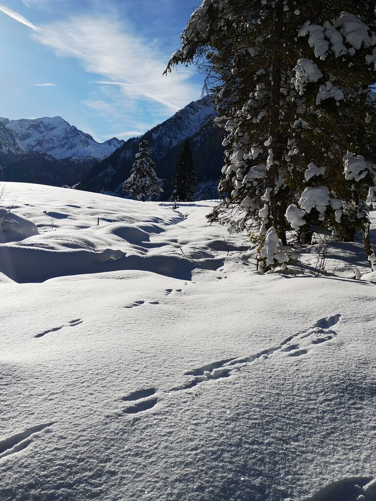 Winterzauber erleben | © Naturpark Sölktäler