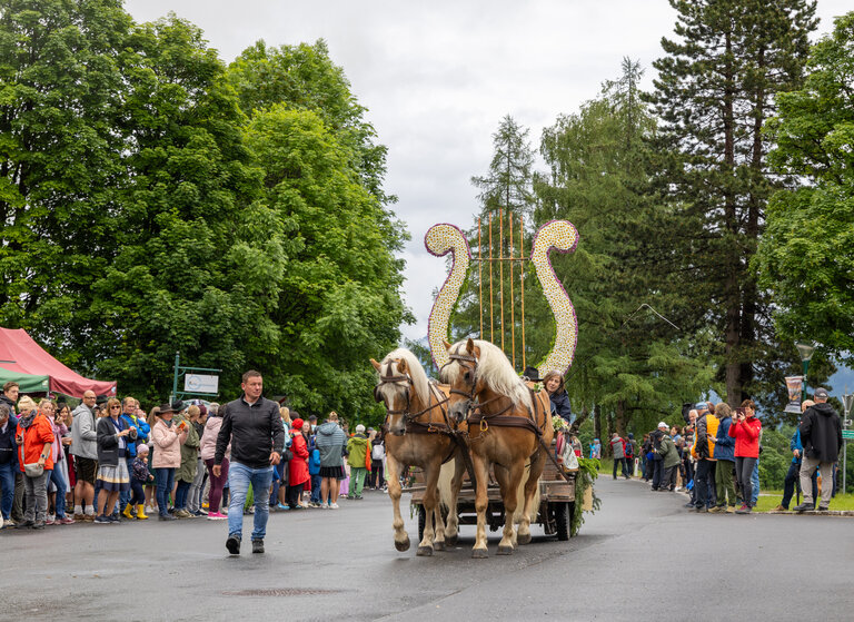 Blumenfigur Lyra | © Michael Simonlehner