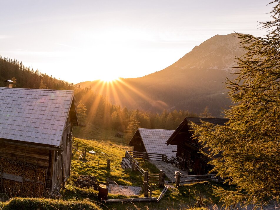 Lange Nacht der Almen - Impression #1 | © Martin Huber