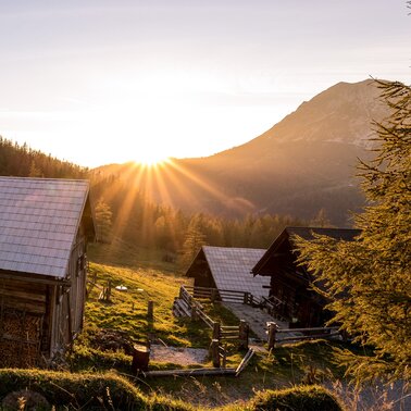 Lange Nacht der Almen | © Martin Huber