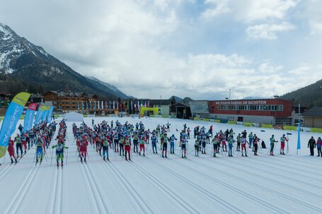 © Hans-Peter Steiner