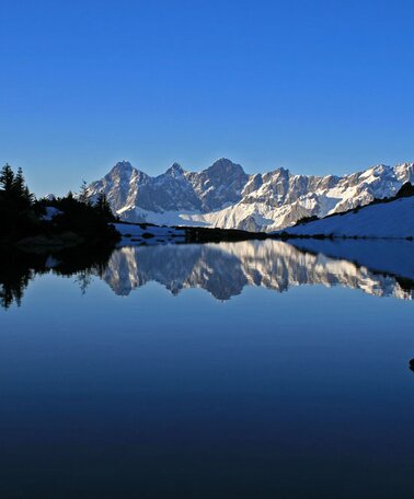 Alois Strimitzer | © Alois Strimitzer