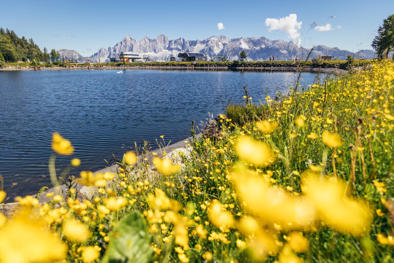Fest zur Almrauschblüte at the Reiteralm - Impression #2.2