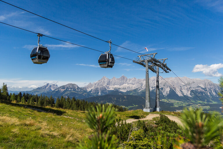 Fest zur Almrauschblüte at the Reiteralm - Impression #2.17