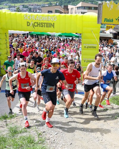 Harald Steiner | © Harald Steiner