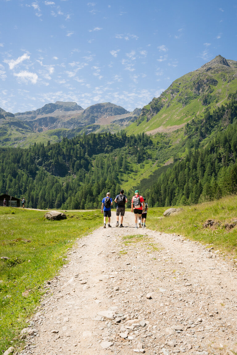 Familien wandern auf einem breiten Schotterweg durch eine grüne Almlandschaft unterhalb steiler Berge auf dem Weg zum Duisitzkarsee. | © TVB/Laura Passenbrunner