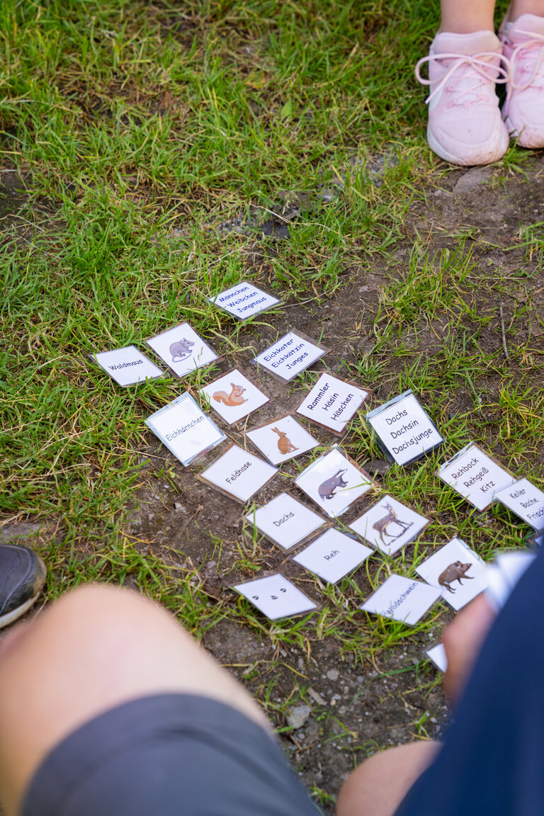 Tierkarten mit Namen und Bildern liegen auf der Wiese – Kinder spielen ein Memory-Spiel.  | © TVB/Laura Passenbrunner