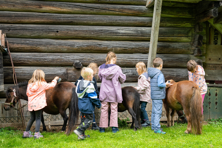 Kinder striegeln Ponys vor einer Holzhütte. | © TVB/Laura Passenbrunner