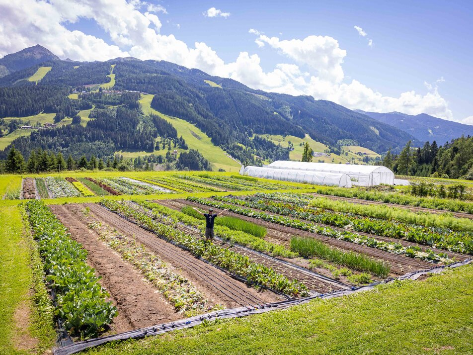 Your adventure in the garden on the mountain - Imprese #1