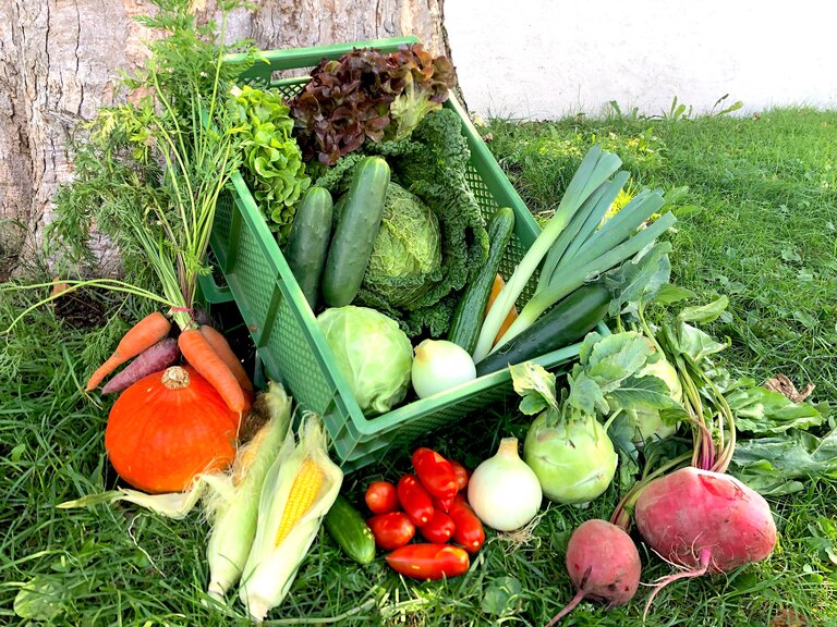 Your adventure in the garden on the mountain - Imprese #2.1