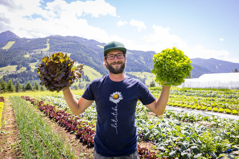 Your adventure in the garden on the mountain - Imprese #2.4