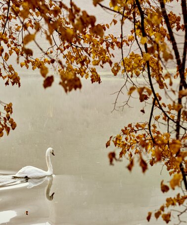 Stainach-Pürgg | © Armin Walcher