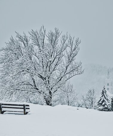 Winter in Stainach-Pürgg | © Armin Walcher