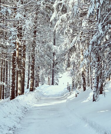 Winter in Stainach-Pürgg | © Armin Walcher
