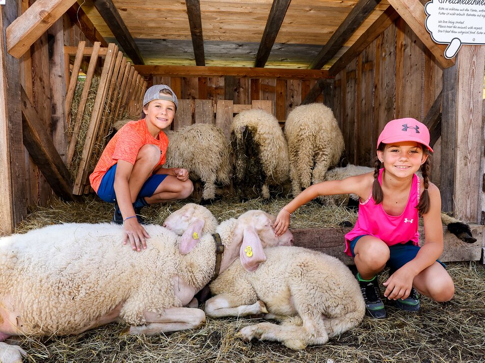 Petting zoo - Impression #1