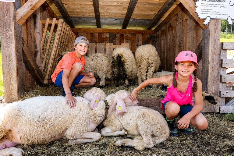 Petting zoo - Impression #2.8