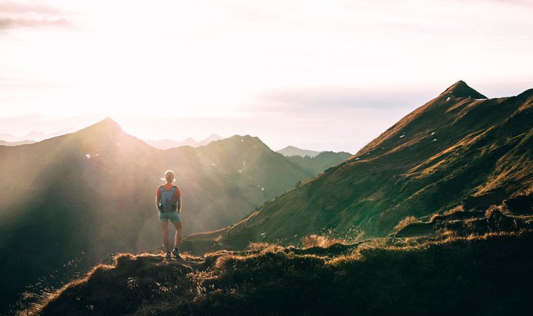 Wanderung auf die Planneralm | © Armin Walcher