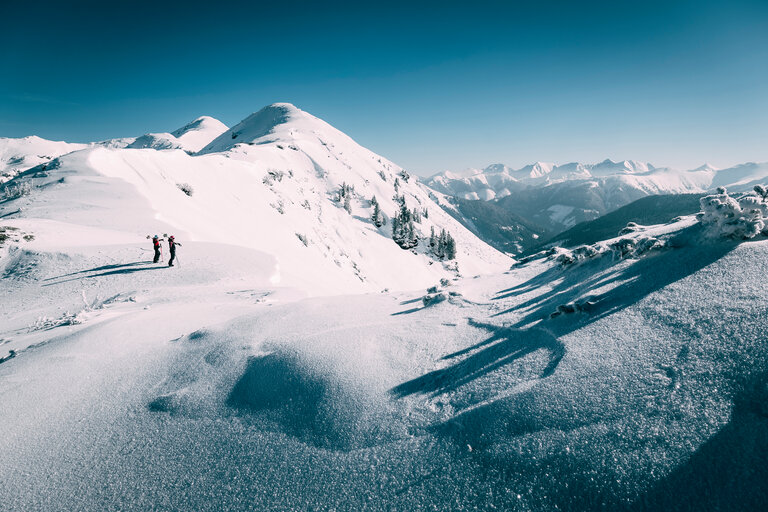 Planneralm - Impression #2.2 | © Armin Walcher