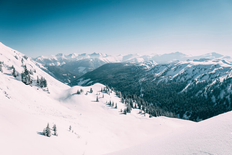 Planneralm - Impression #2.1 | © Armin Walcher