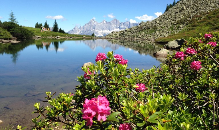 Spiegelsee Reiteralm Bergbahnen | © Reiteralm Bergbahnen