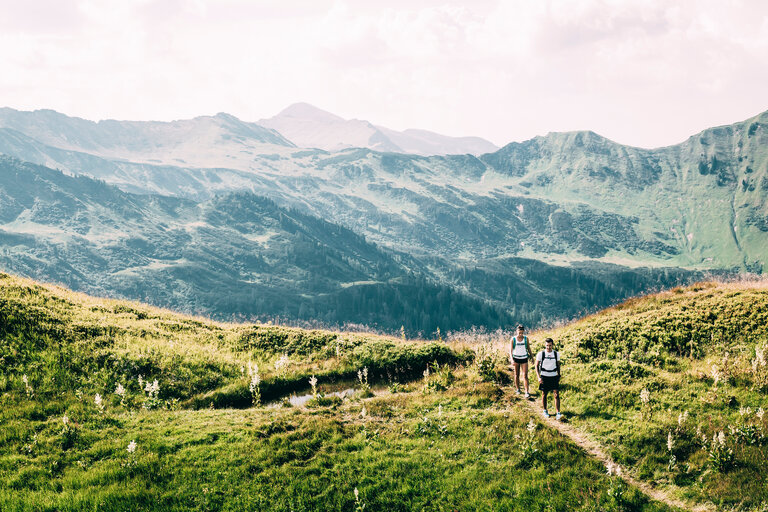 Riesneralm - Impression #2.5 | © Armin Walcher