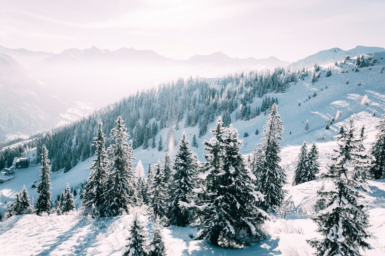 Riesneralm - Impression #2.2 | © Armin Walcher