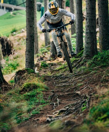 Downhiller Andi Kolb beim Downhill durch den Wald | © Christian Penning