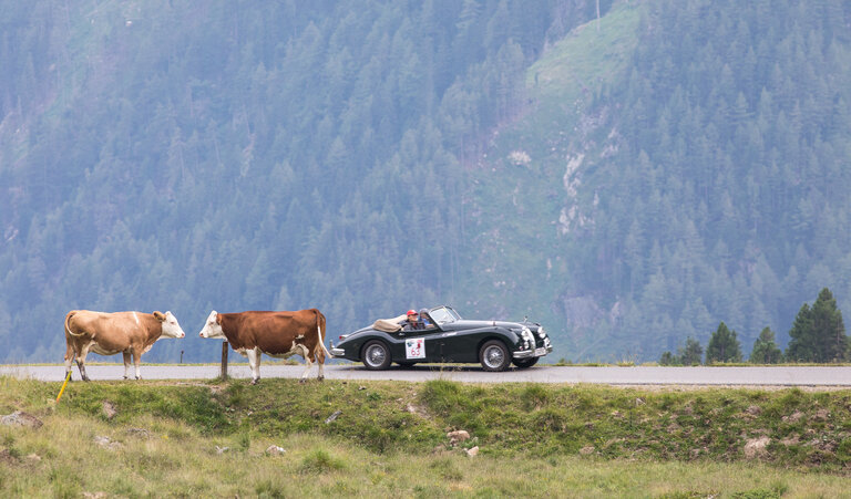 Ennstal Classic am Sölkpass | © Ennstal Classic | Martin Huber