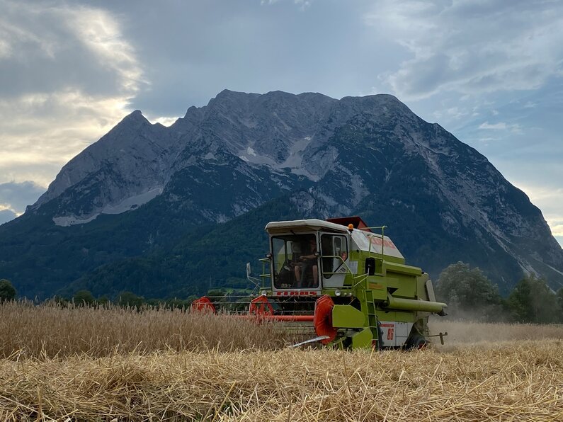 © Brigitte Schachner