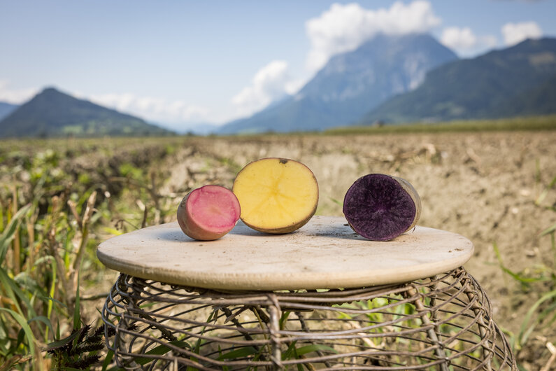 © Netzwerk Kulinarik wildbild