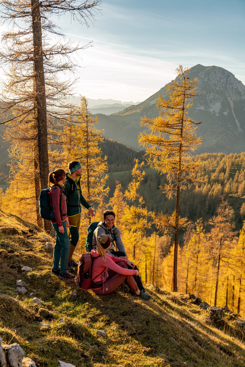 Herbst am Brandriedl, Ramsau | © Christine Höflehner