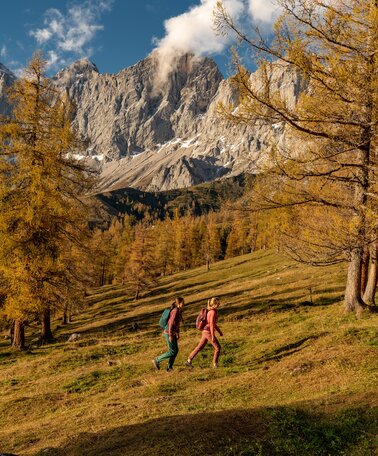 Herbst am Brandriedl, Ramsau | © Christine Höflehner