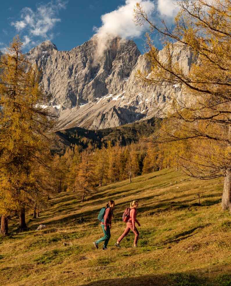 Herbst am Brandriedl, Ramsau | © Christine Höflehner