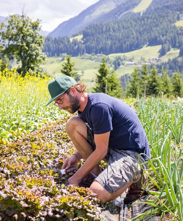 © Netzwerk Kulinarik wildbild